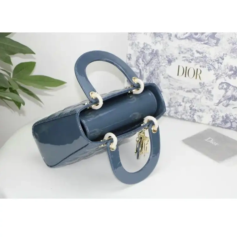 Fashionrep Bags 2012SH0090 Dio 1013
